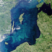 Satellitbild av en cyanobakterieblomning 19 juli i Egentliga Östersjön 