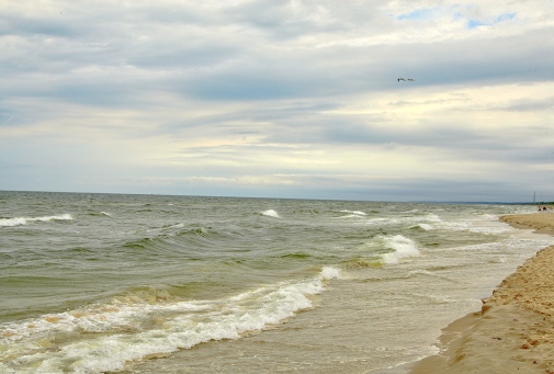Gulf of Gdansk. Foto: Maciej Tomczak 