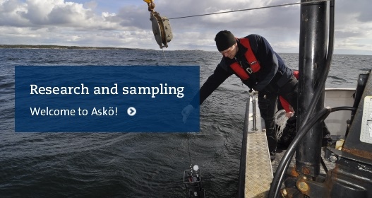 Research and experiments at Askö Laboratory