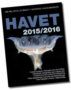 Havet 2015/2016 lanseras på Havs- och vattenforum, Havs- och vattenmyndighetens årliga konferens, den 24 maj 2016.