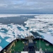Oden crushing the sea ice. Photo by Tamara Handl