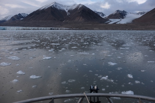 Ice melange in Kongsfjord.