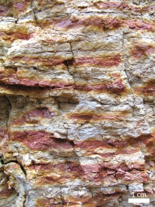 close up of rock wall