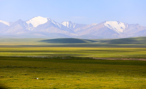 Meadow steppes in the Qilian Mountains of northern China