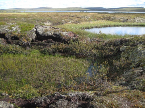 Kollapsande torvmark när permafrost tinar, norra Sverige.
