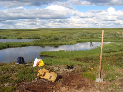 Sampling soils next to thermokarst lakes forming as permafrost thaws in a Russian peatland area.
