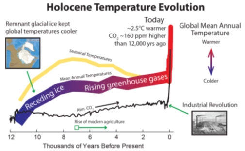 graph showing the temperature evolution during the holocene