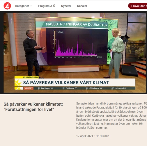 Johan Kuylenstierna i TV4