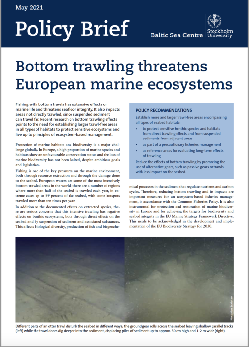 Cover picture of the new policy brief on bottom trawling