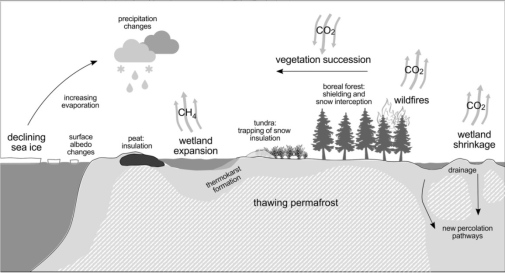 Illustration, clouds, trees, soil, and arrows showing interections inbetween