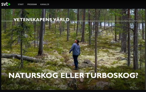 klipp från SVT webbplats, en person i skogen